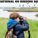 National Go Birding Day