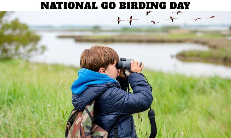 National Go Birding Day