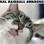 National Hairball Awareness Day