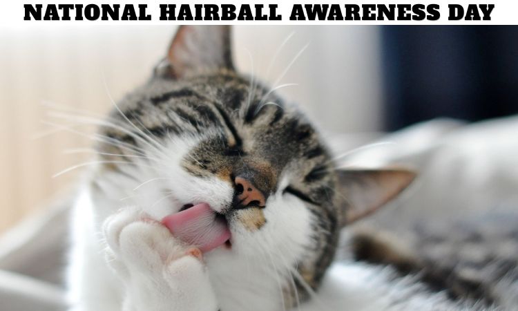 National Hairball Awareness Day