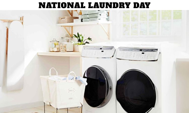 National Laundry Day
