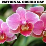 National Orchid Day