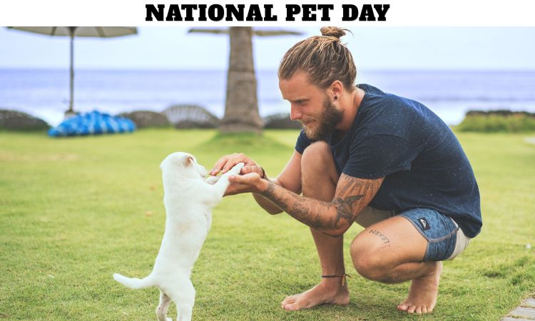 National Pet Day
