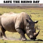 Save The Rhino Day