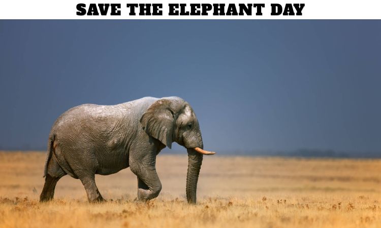 Save the Elephant Day