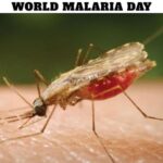 World Malaria Day