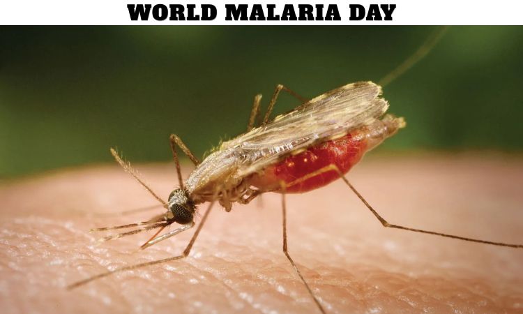 World Malaria Day