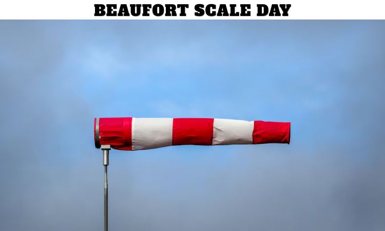 Beaufort Scale Day