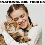 International Hug Your Cat Day