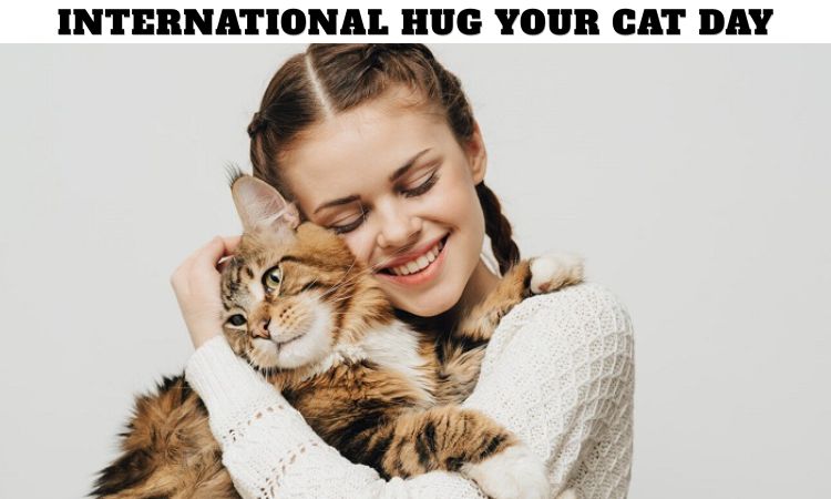 International Hug Your Cat Day