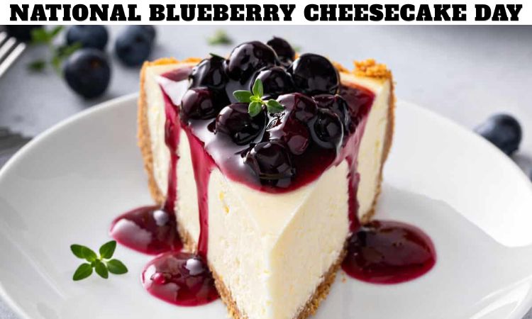 National Blueberry Cheesecake Day