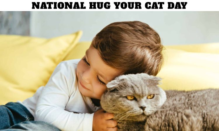 National Hug Your Cat Day