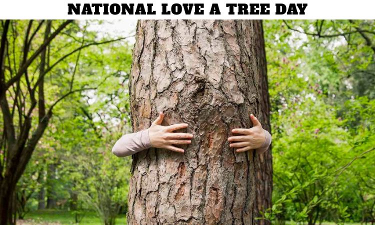 National Love a Tree Day