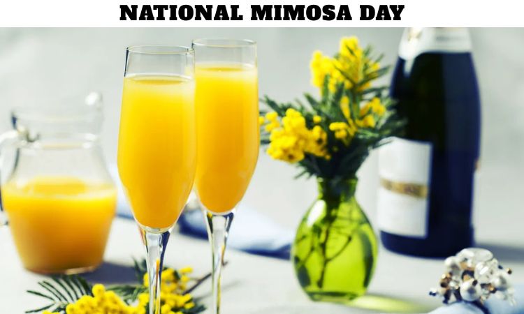 National Mimosa Day