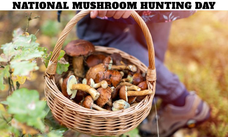 National Mushroom Hunting Day