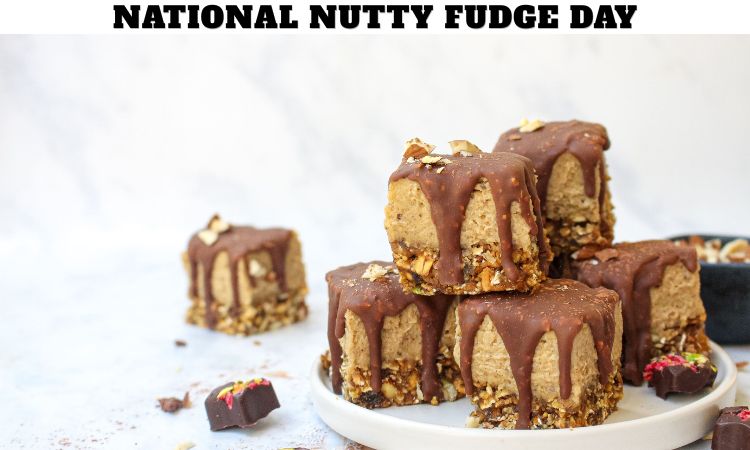 National Nutty Fudge Day