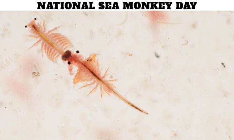 National Sea Monkey Day