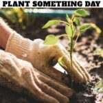 Plant Something Day