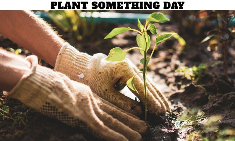 Plant Something Day