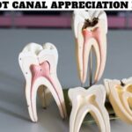 Root Canal Appreciation Day