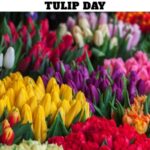Tulip Day