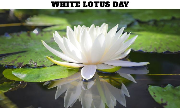 White Lotus Day