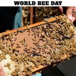 World Bee Day