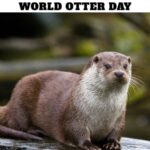 World Otter Day