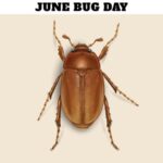 June Bug Day