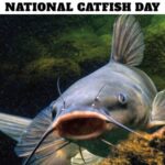 National Catfish Day