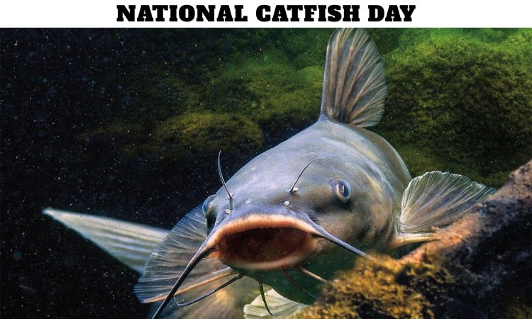 National Catfish Day