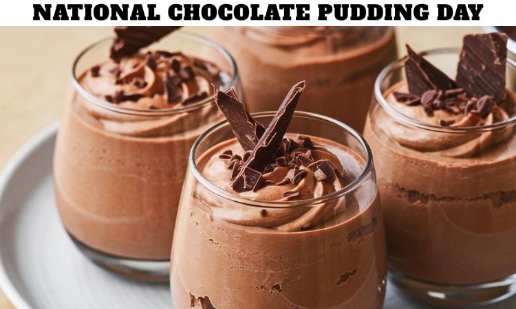 National Chocolate Pudding Day