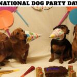 National Dog Party Day