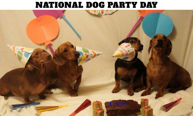 National Dog Party Day