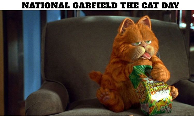 National Garfield the Cat Day
