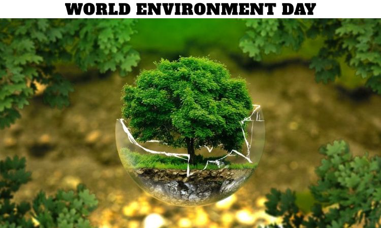 World Environment Day