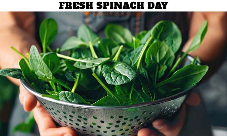 Fresh Spinach Day