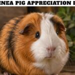 Guinea Pig Appreciation Day