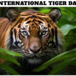 International Tiger Day