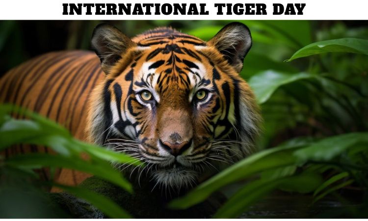 International Tiger Day
