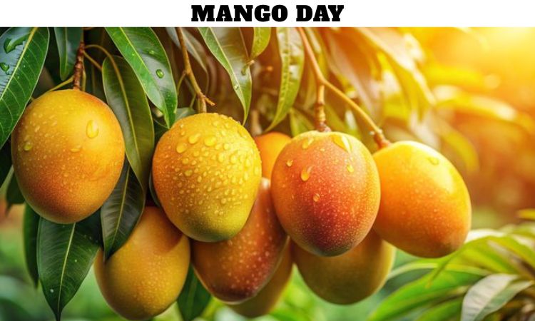 Mango Day