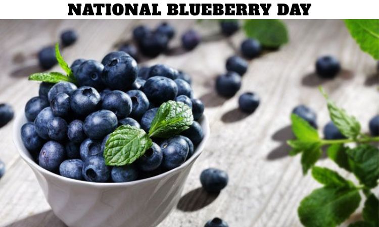 National Blueberry Day