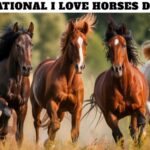 National I Love Horses Day