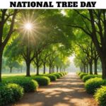 National Tree Day