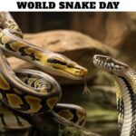 World Snake Day