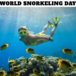 World Snorkeling Day