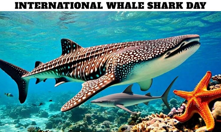 International Whale Shark Day