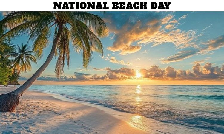 National Beach Day