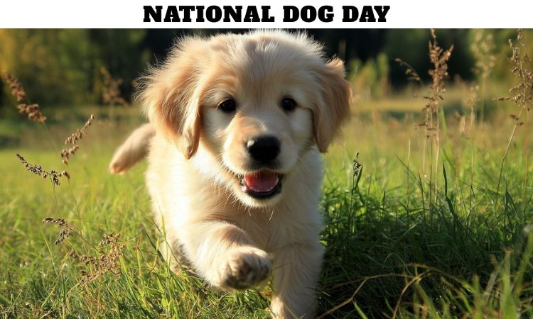 National Dog Day