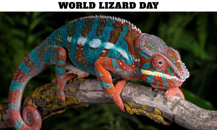 World Lizard Day